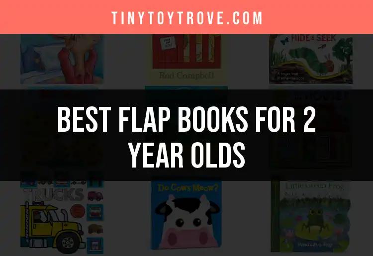 14 Must-Have Flap Books for 2 Year Olds