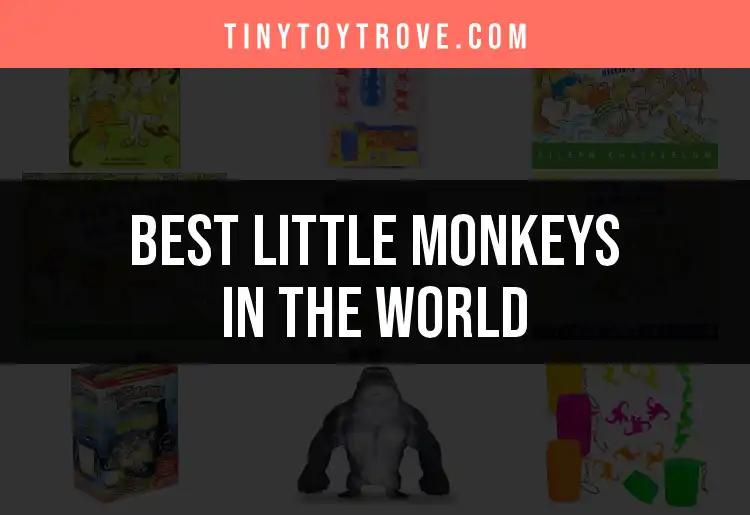 Top 10 Little Monkeys in the World to Discover
