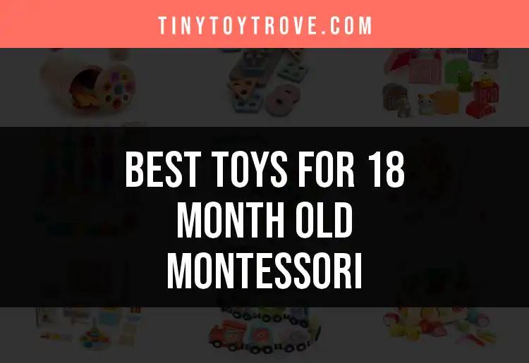 14 Best Montessori Toys for 18 Month Olds to Spark Creativity