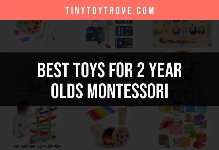 17 Best Montessori Toys for 2 Year Olds